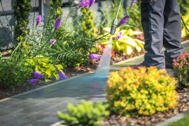 Professional Pressure Washing Services in Napavine, WA