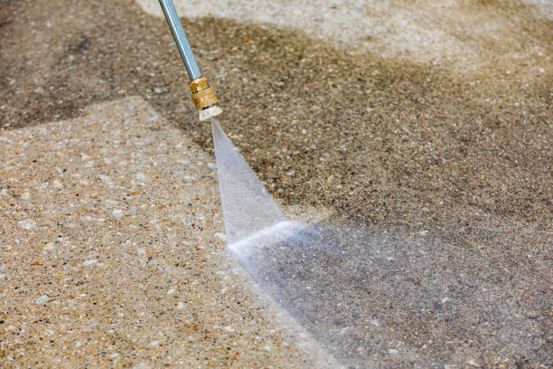Best Driveway Pressure Washing  in Napavine, WA