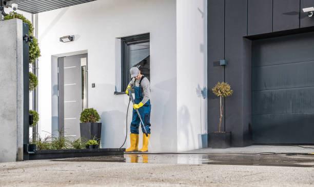 Best Gutter Cleaning  in Napavine, WA